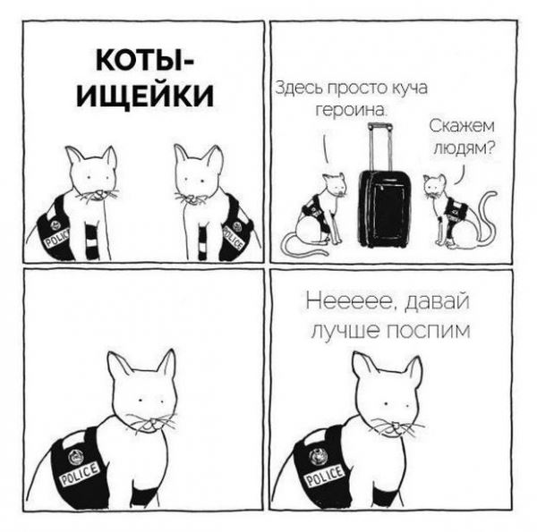 <br />
							Смешные комиксы (20 фото)
<p>					