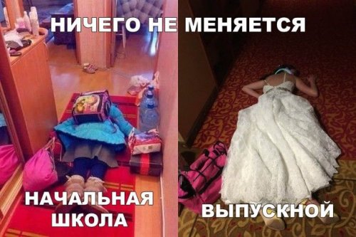 Прикольные картинки для всех (20 шт)