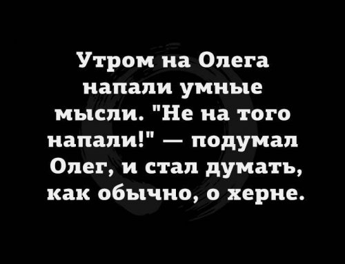 Прикольные картинки с надписями (26 шт)