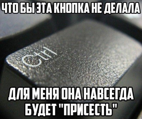 Срочный выпуск фото-приколов для вашего настроения (28 шт)