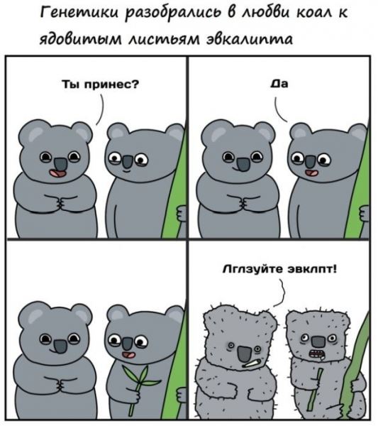 <br />
							Смешные комиксы (20 фото)
<p>					