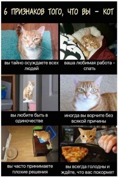 <br />
							Смешные комиксы (20 фото)
<p>					