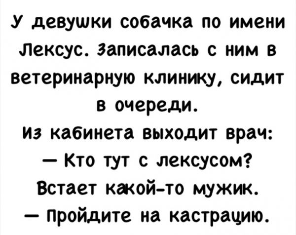 Подборка забавных анекдотов