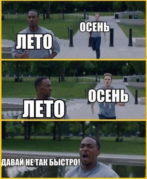 <br />
							Смешные комиксы (20 фото)
<p>					