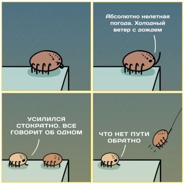 <br />
							Смешные комиксы (20 фото)
<p>					